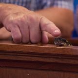 Wenn die Schlange mal doch zubeißt, so sei die Zeit desjenigen eben gekommen, heißt es nach der Lehre. 