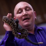 "Wenn sie Schlangen anfassen oder tödliches Gift trinken, wird es ihnen nicht schaden." Mit diesem Zitat aus dem Markusevangelium begründen die Gläubigen ihr Ritual.