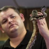 Die Gemeinschaften der Schlangenkirchen sind klein und setzten sich oft aus einigen wenigen Familien zusammen. 