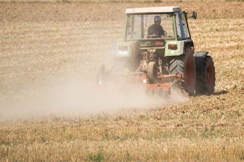 In der Schweiz kam es zu einem tragischen Unfall. Eine Vierjährige ist von einem Traktor gestürzt und gestorben (Symbolbild)