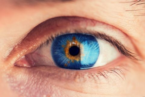 in der Farbe braun und blau