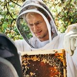 Iiieh, bah! Reporter Daniel mag Bienen und anderes fliegendes Getier nicht besonders. Der Beweis: sein kritischer Blick beim Halten des sogenannten Rähmchens.