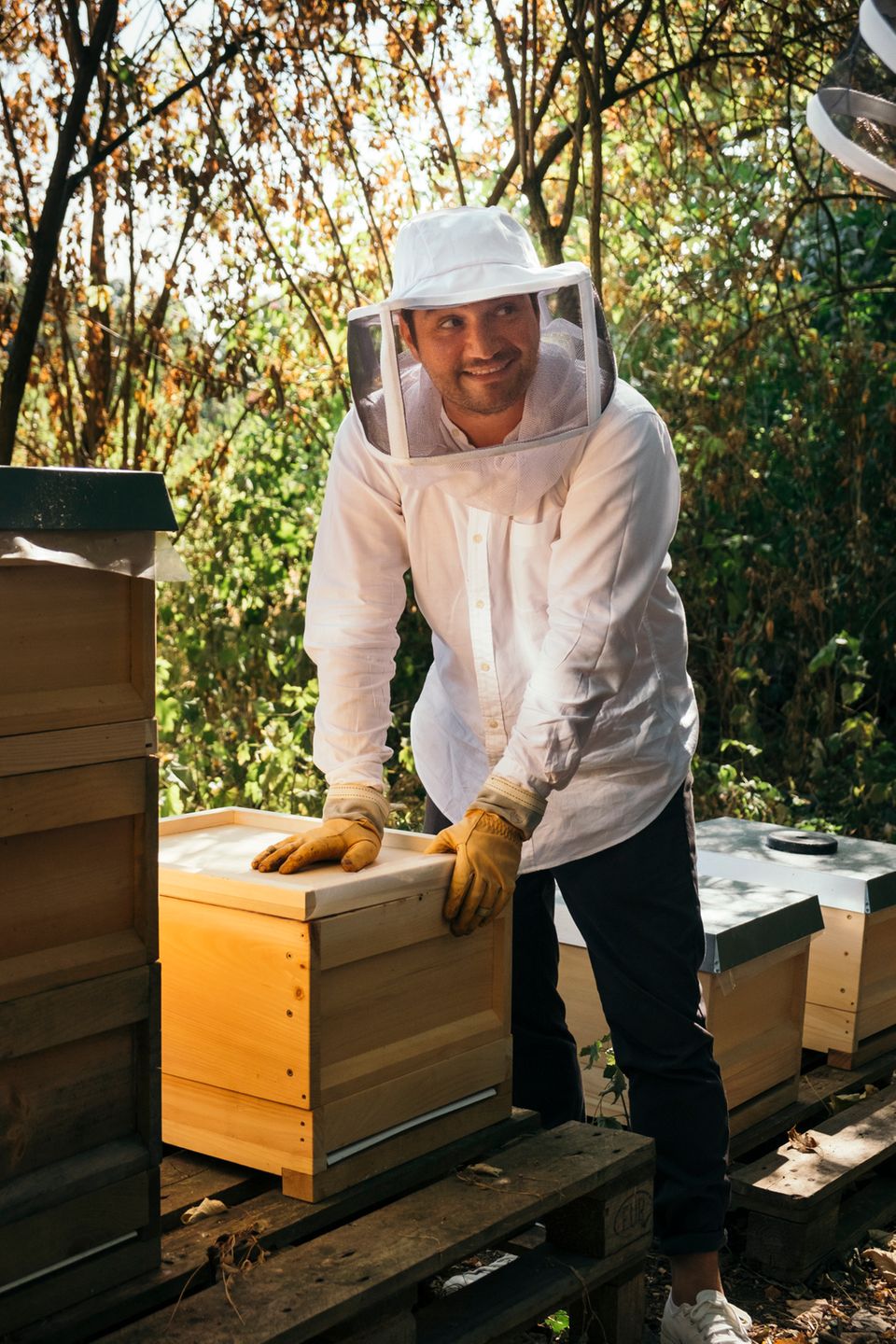 Unser Reporter Hat Angst Vor Bienen Hochste Zeit Fur Ihn Einen Imkerkurs Zu Belegen Stern De