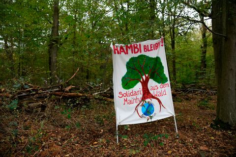 Plakat im Hambacher Forst - Hambi bleibt
