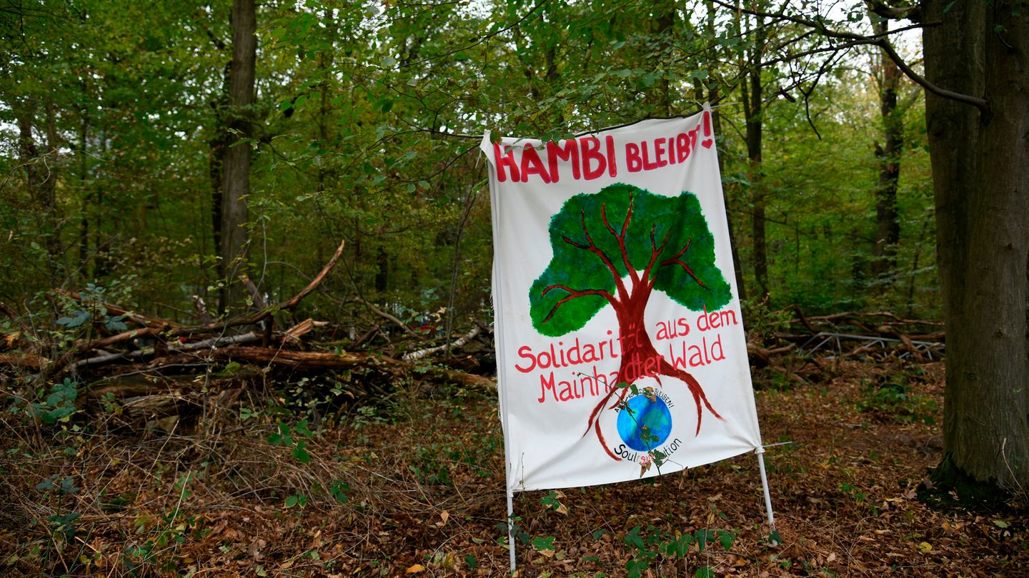 Plakat im Hambacher Forst - Hambi bleibt