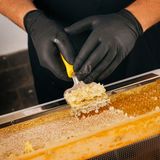 ... das Entdeckeln der Waben in der Imkerei. Der Wachsdeckel muss weg.