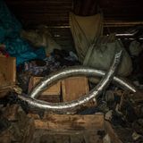 Schrott und Schätze: In einer Scheune im  Dorf lagern zwei Stoßzähne, in Plastik eingewickelt