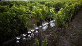 Wo? In Pauillac, nördlich von Bordeaux.