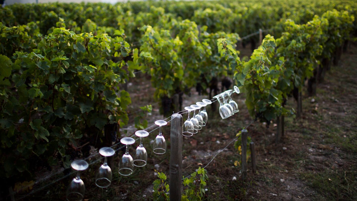 Wo? In Pauillac, nördlich von Bordeaux.