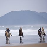 Reiten an den Stränden Südafrikas