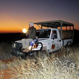 Safari in Südafrika