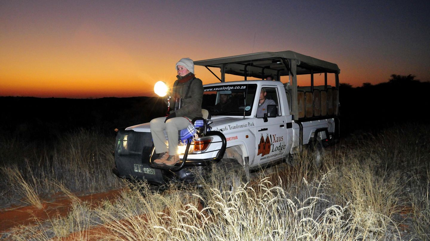 Safari in Südafrika