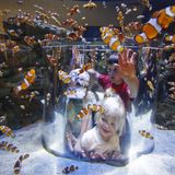 Two Oceans Aquarium in Kapstadt