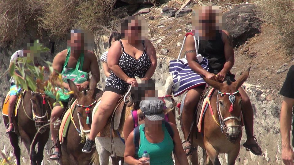 Griechenland: Eselreit-Verbot für übergewichtige Touristen