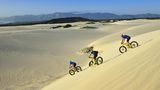 Wer den Kitzel beim Mountainbiking sucht, wird das hier lieben: Sanddünen mit dem Fatbike runterasen. Die extra dicken Reifen des Fatbike sorgen für genug Halt. Trotzdem treibt die wilde Tour den Adrenalinspiegel ganz schön nach oben. Buchen kann man die Touren, wie hier am Plaat Beach, in vielen Touristenregionen. Mehr Informationen zu den Fatbikes-Touren finden Sie hier.