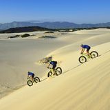 Wer den Kitzel beim Mountainbiking sucht, wird das hier lieben: Sanddünen mit dem Fatbike runterasen. Die extra dicken Reifen des Fatbike sorgen für genug Halt. Trotzdem treibt die wilde Tour den Adrenalinspiegel ganz schön nach oben. Buchen kann man die Touren, wie hier am Plaat Beach, in vielen Touristenregionen. Mehr Informationen zu den Fatbikes-Touren finden Sie hier.
