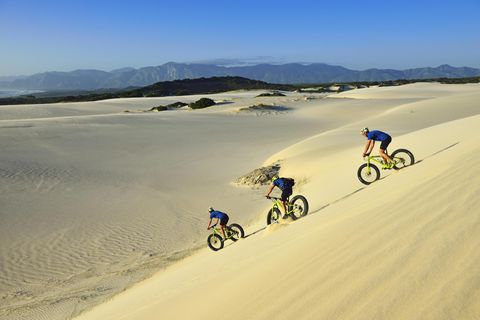 Wer den Kitzel beim Mountainbiking sucht, wird das hier lieben: Sanddünen mit dem Fatbike runterasen. Die extra dicken Reifen des Fatbike sorgen für genug Halt. Trotzdem treibt die wilde Tour den Adrenalinspiegel ganz schön nach oben. Buchen kann man die Touren, wie hier am Plaat Beach, in vielen Touristenregionen. Mehr Informationen zu den Fatbikes-Touren finden Sie hier.