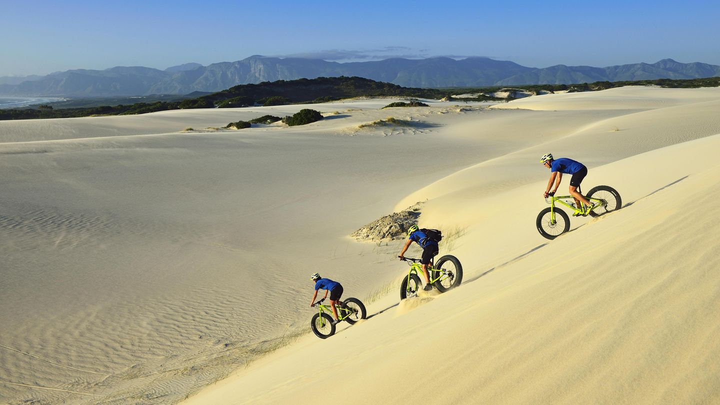 Land am Kap: Wer den Kitzel beim Mountainbiking sucht, wird das hier lieben: Sanddünen mit dem Fatbike runterasen. Die extra dicken Reifen des Fatbike sorgen für genug Halt. Trotzdem treibt die wilde Tour den Adrenalinspiegel ganz schön nach oben. Buchen kann man die Touren, wie hier am Plaat Beach, in vielen Touristenregionen. Mehr Informationen zu den Fatbikes-Touren finden Sie hier. Wer den Kitzel beim Mountainbiking sucht, wird das hier lieben: Sanddünen mit dem Fatbike runterasen. Die extra dicken Reifen des Fatbike sorgen für genug Halt. Trotzdem treibt die wilde Tour den Adrenalinspiegel ganz schön nach oben. Buchen kann man die Touren, wie hier am Plaat Beach, in vielen Touristenregionen. Mehr Informationen zu den Fatbikes-Touren finden Sie hier.