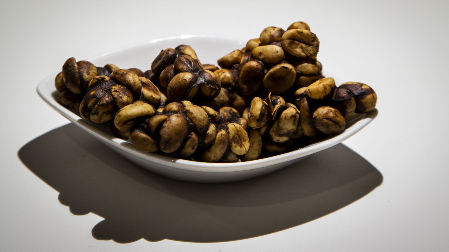 "The Disgusting Food Museum": Kopi Luwak "The Disgusting Food Museum": Kopi Luwak