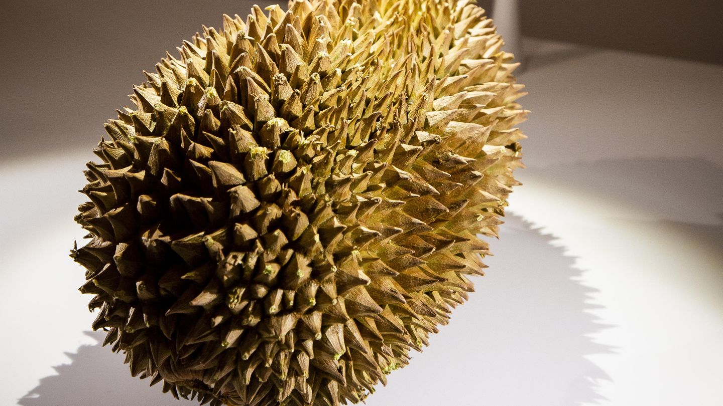 "The Disgusting Food Museum": Kotzfrucht