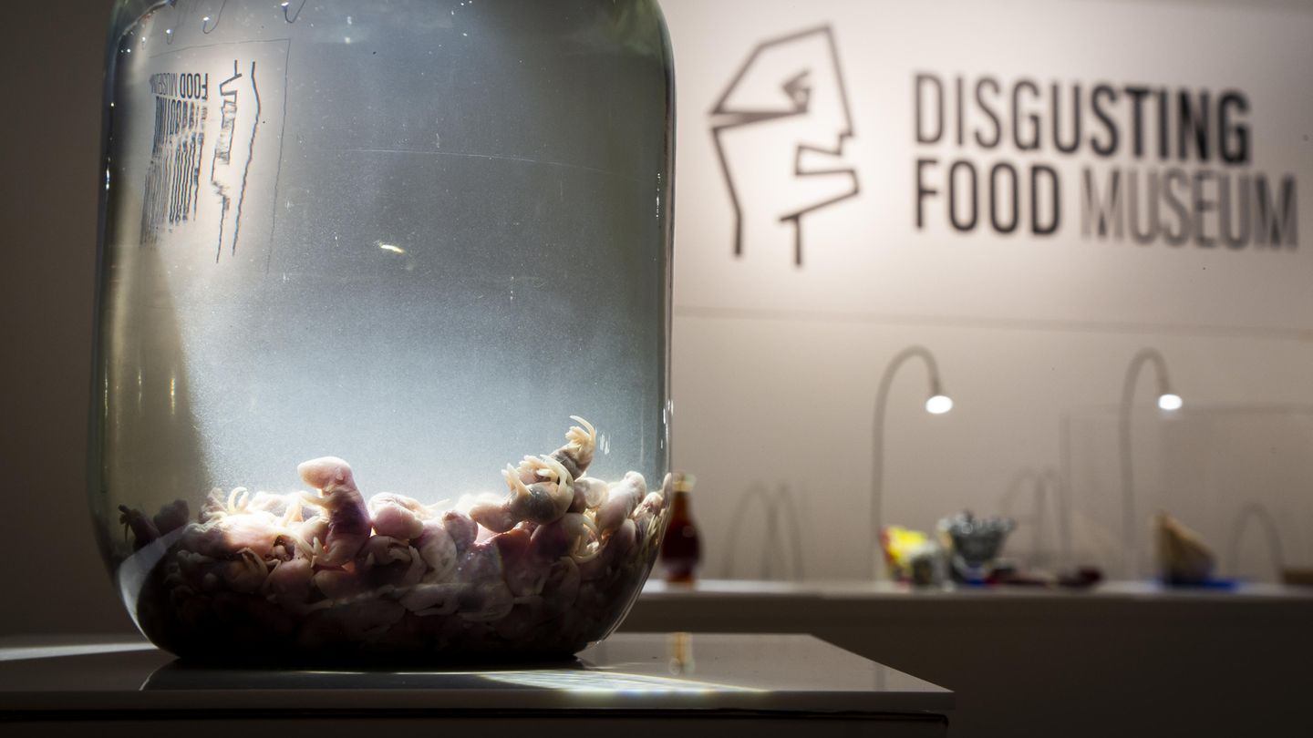"The Disgusting Food Museum": Mäuse-Wein
