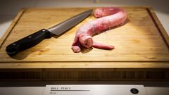"The Disgusting Food Museum": Stierpenis
