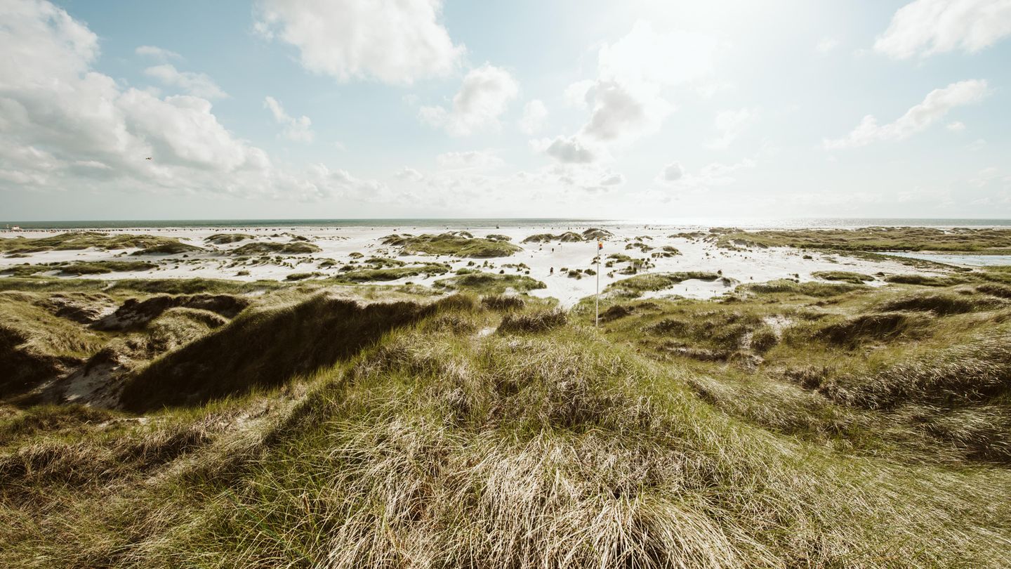 Amrum