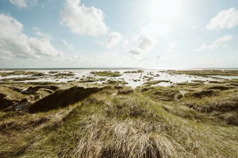 Amrum
