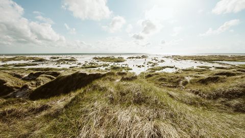 Amrum