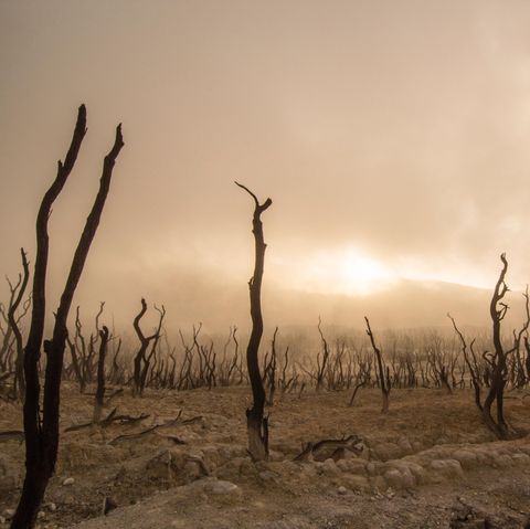 Klimakatastrophe