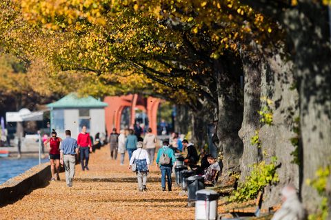 Wetter in Deutschland