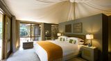 Western Cape: Sanbona Wildife Reserve  Geborgenheit unter dem Baldachin: Das Sanbona Reserve in der kleinen Karoo gehört zu den selten Orten, wo weiße Löwen in freier Wildbahn zu beachten sind. Als Unterkunft dienen auch neun Dwyka Tented Lodges - nur drei Stunden östlich von Kapstadt am Fuß des Warmwaterbergs gelegen.  Infos: https://sanbona.com