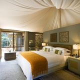 Western Cape: Sanbona Wildife Reserve  Geborgenheit unter dem Baldachin: Das Sanbona Reserve in der kleinen Karoo gehört zu den selten Orten, wo weiße Löwen in freier Wildbahn zu beachten sind. Als Unterkunft dienen auch neun Dwyka Tented Lodges - nur drei Stunden östlich von Kapstadt am Fuß des Warmwaterbergs gelegen.  Infos: https://sanbona.com