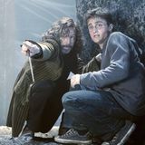 Harry Potter und Sirius Black