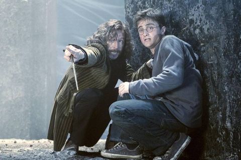 Harry Potter und Sirius Black