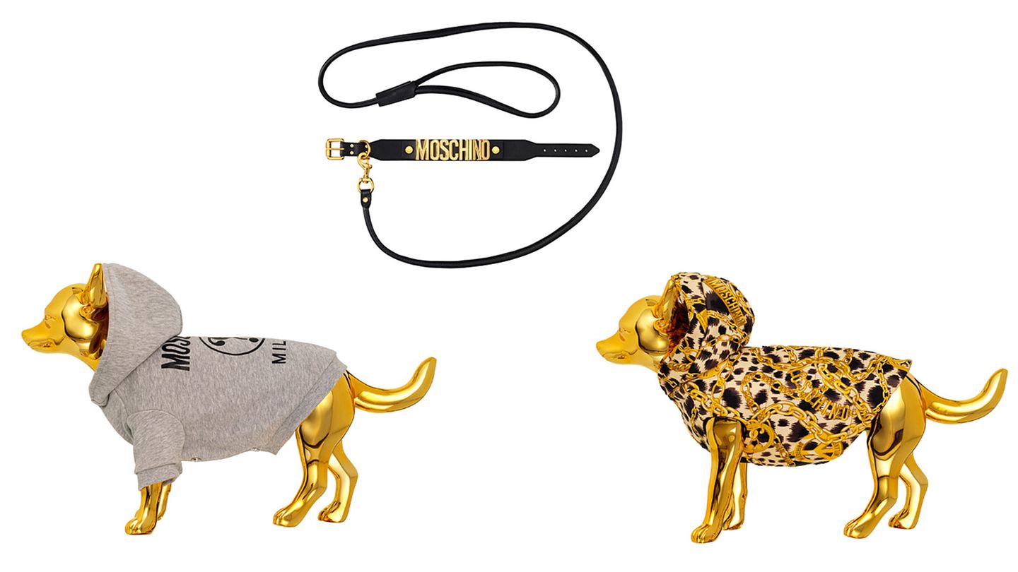 Auf den Hund gekommen  Schräg oder chic? Jeremy Scott will auch Hundebesitzer in die H&M-Filialen locken und bietet Accessoires für den Vierbeiner, etwa einen grauen Hoodie oder eine wattierte Jacke für je 79,99 Euro. Das Hundehalsband kostet stolze 99,99 Euro.
