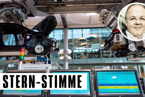 stern-Stimme Thomas Ammann Agenden auf dem Datenhighway