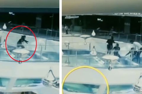 Auf dem Weg zum Termin: Zur Fütterungszeit: Frau stolpert in Haifischbecken