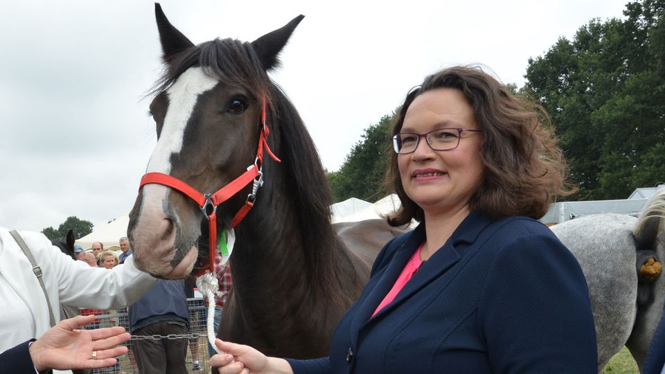 SPD-Chefin Andrea Nahles mit Pferd (Archiv)