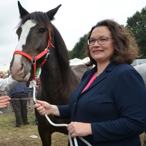 SPD-Chefin Andrea Nahles mit Pferd (Archiv)