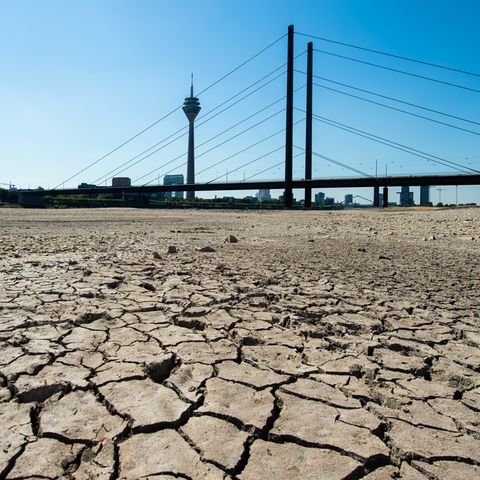 Die Erde im Flussbett des Rheins ist aufgrund der Dürre ausgetrocknet und aufgerissen