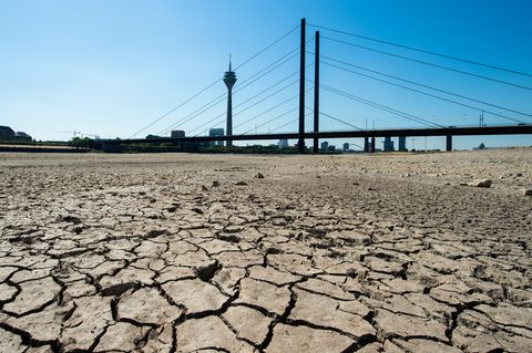 Die Erde im Flussbett des Rheins ist aufgrund der Dürre ausgetrocknet und aufgerissen