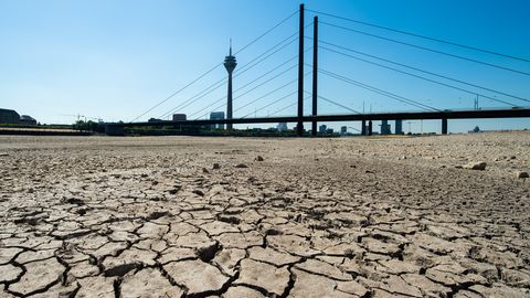 Die Erde im Flussbett des Rheins ist aufgrund der Dürre ausgetrocknet und aufgerissen