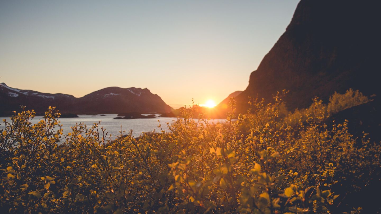 Lofoten