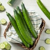 Gurke  Gurken lagert man gern im Kühlschrank, sie werden bei Kälte jedoch schneller schlecht. Wie Salat sollte man Gurken in Küchenpapier oder in ein Stoffhandtuch wickeln und in einer Plastiktüte aufbewahren. Gern auch im Kühlschrank, dann aber nicht in der kühlsten Ecke.