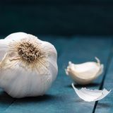 Knoblauch  Knoblauchknollen mögen es am liebsten dunkel und am besten bei Raumtemperatur. Legen Sie Knoblauch nicht in den Kühlschrank.