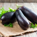 Aubergine  Das mediterrane Gemüse mag keine kalten Temperaturen, am besten bei Raumtemperatur, außerhalb des Kühlschranks lagern. 