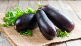 Aubergine  Das mediterrane Gemüse mag keine kalten Temperaturen, am besten bei Raumtemperatur, außerhalb des Kühlschranks lagern. 
