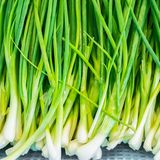 Frühlingszwiebeln  Lagern Sie Frühlingszwiebeln im Kühlschrank, aber achten Sie darauf, dass die Zwiebeln im Wasser stehen. Binden Sie das Gemüse am besten mit einem Haushaltsgummi zusammen und stülpen Sie darüber noch eine Plastiktüte. So hält das Gemüse am längsten.