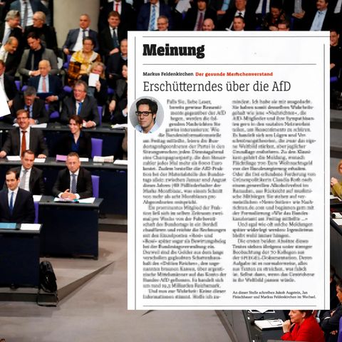 "Spiegel"-Kolumne: Wenn "Erschütterndes über die AfD" zur gefühlten Wahrheit wird